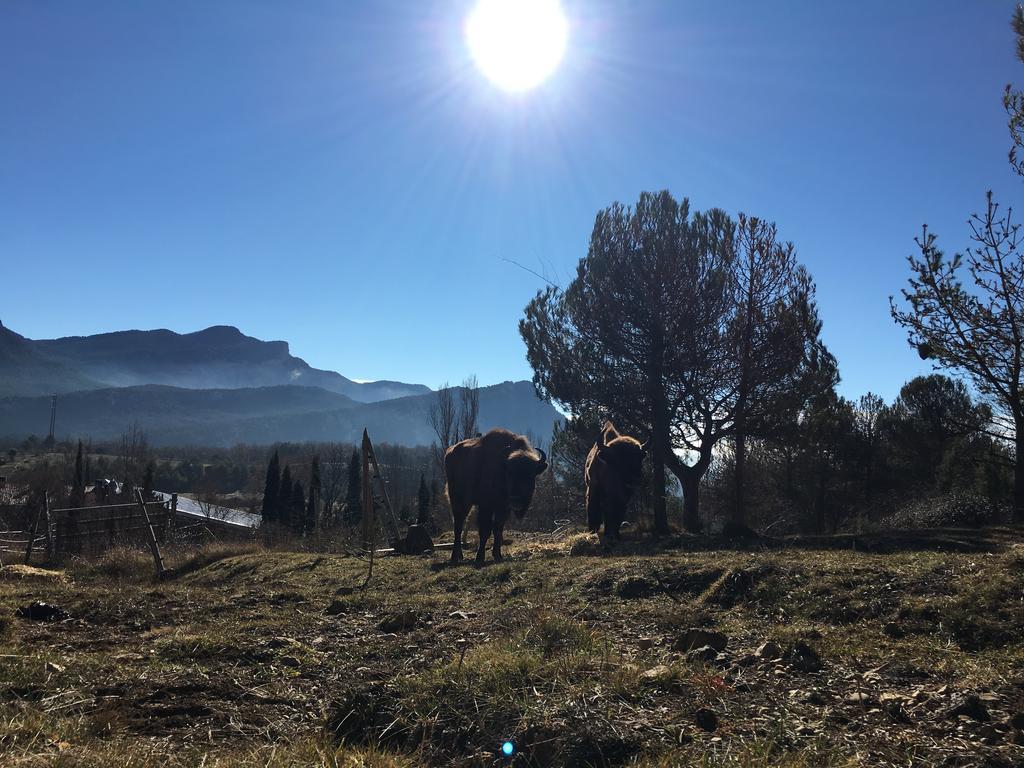 El Jou Nature Sant Corneli Εξωτερικό φωτογραφία