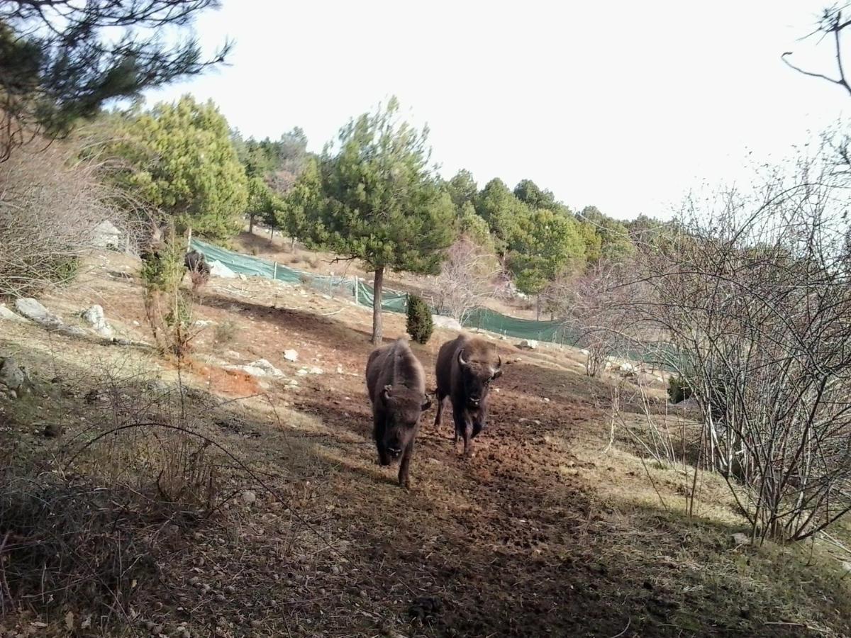 El Jou Nature Sant Corneli Εξωτερικό φωτογραφία
